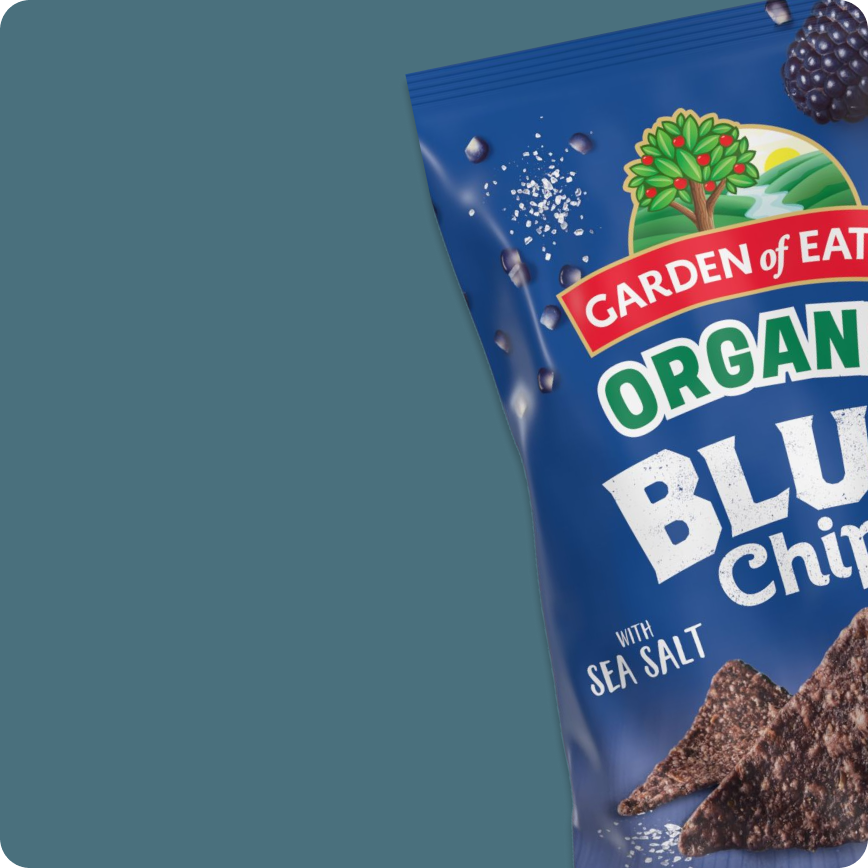 Organic Corn Tortilla Chips